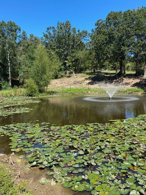 a pond filled with water lilies and a fountain in the middle .