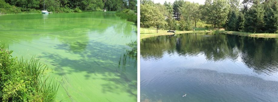 lake management side by side