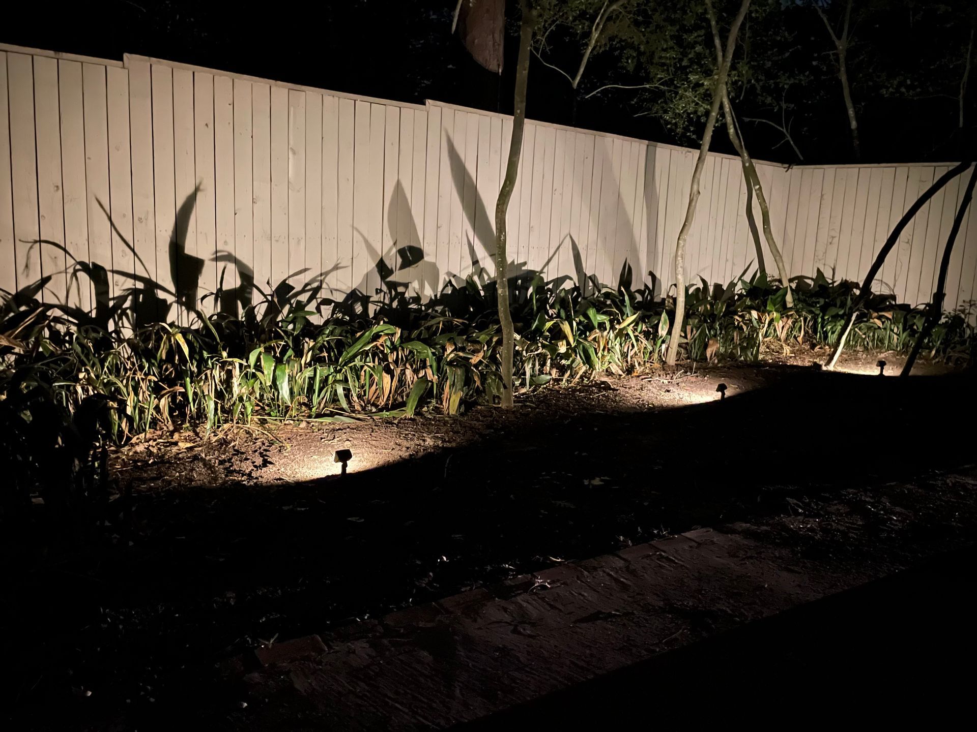 a house with a tree in the middle of the yard