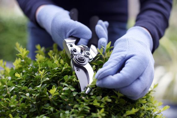 esterni e giardino