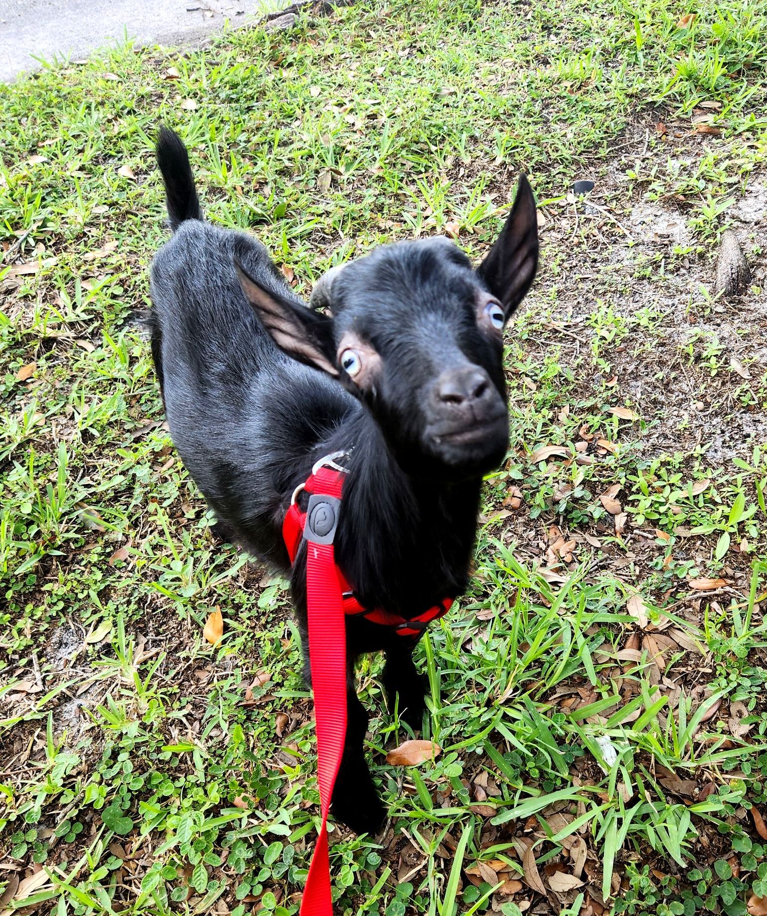 A large fish tank is sitting in a store next to a sign that says aquasky.