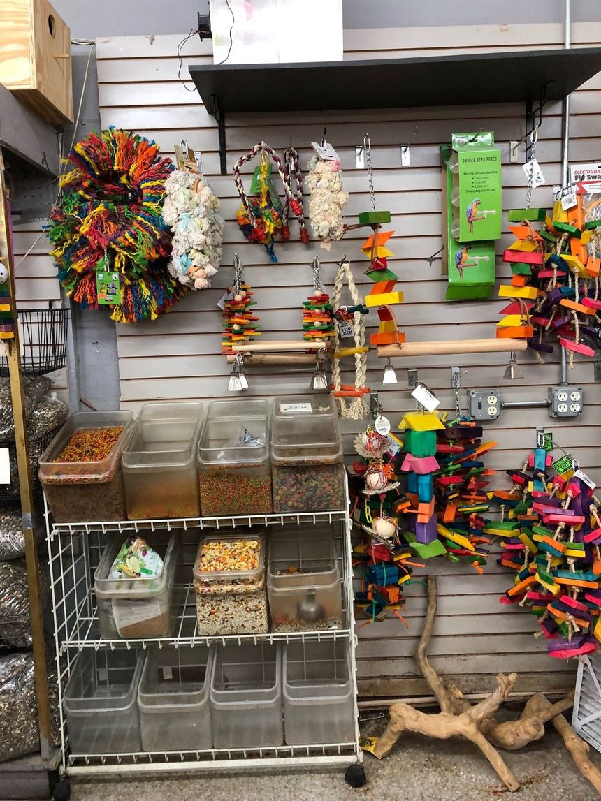 A pet store display showcasing bird toys of various colors and containers filled with bird food.