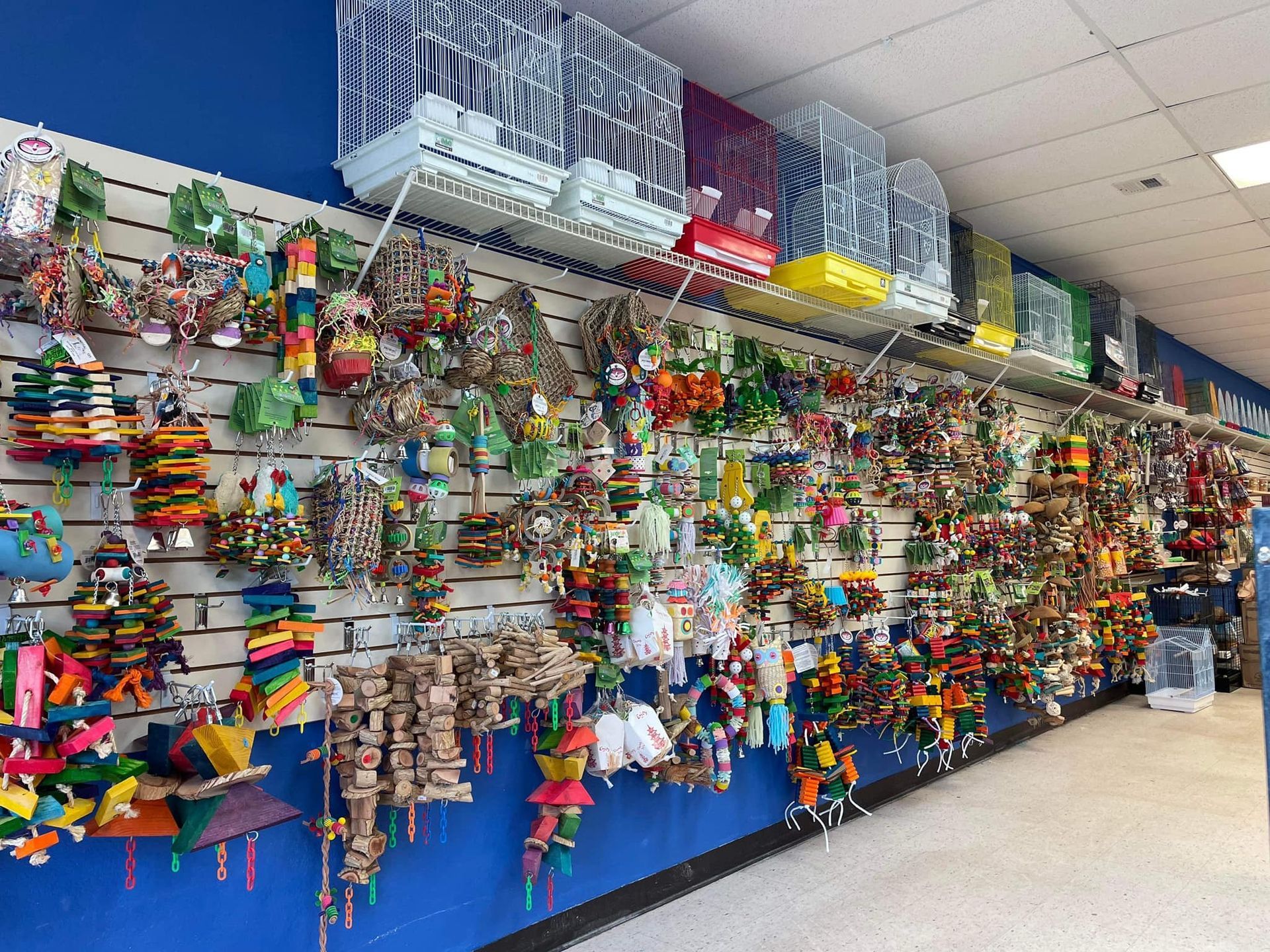 A pet store wall display featuring a wide variety of colorful bird toys and cages. The wall is blue with white grid panels.