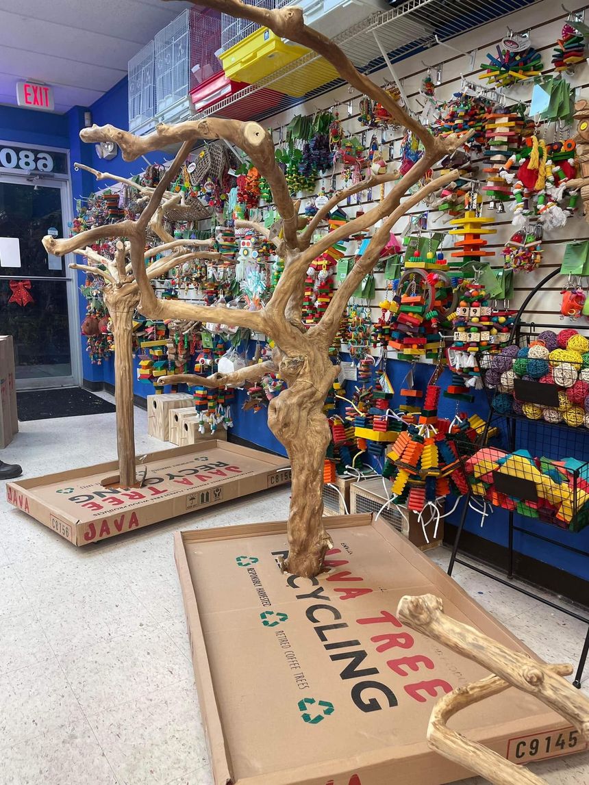 Two bird perches made from tree branches on cardboard bases, inside a pet store. Shelves filled with bird toys line the wall.