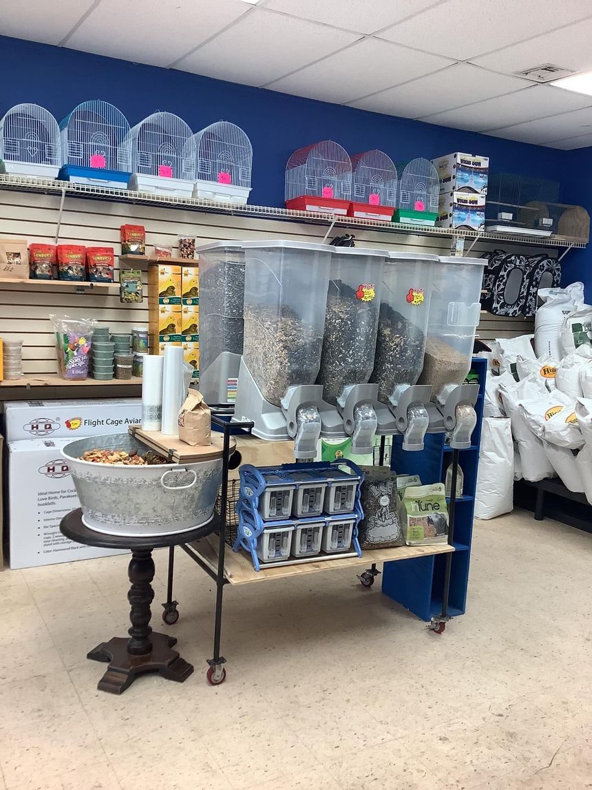 Inside a pet store: bird feeders, cages, and bulk food dispensers are displayed on a blue-walled, light-floored retail space.