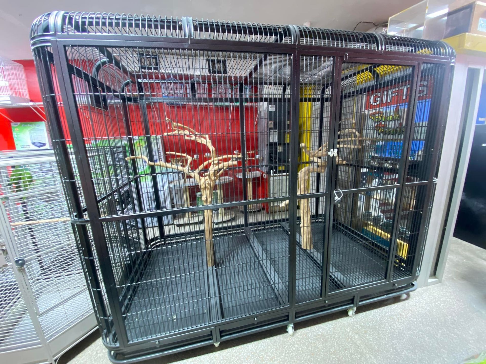 A fish tank filled with lots of fish and rocks.