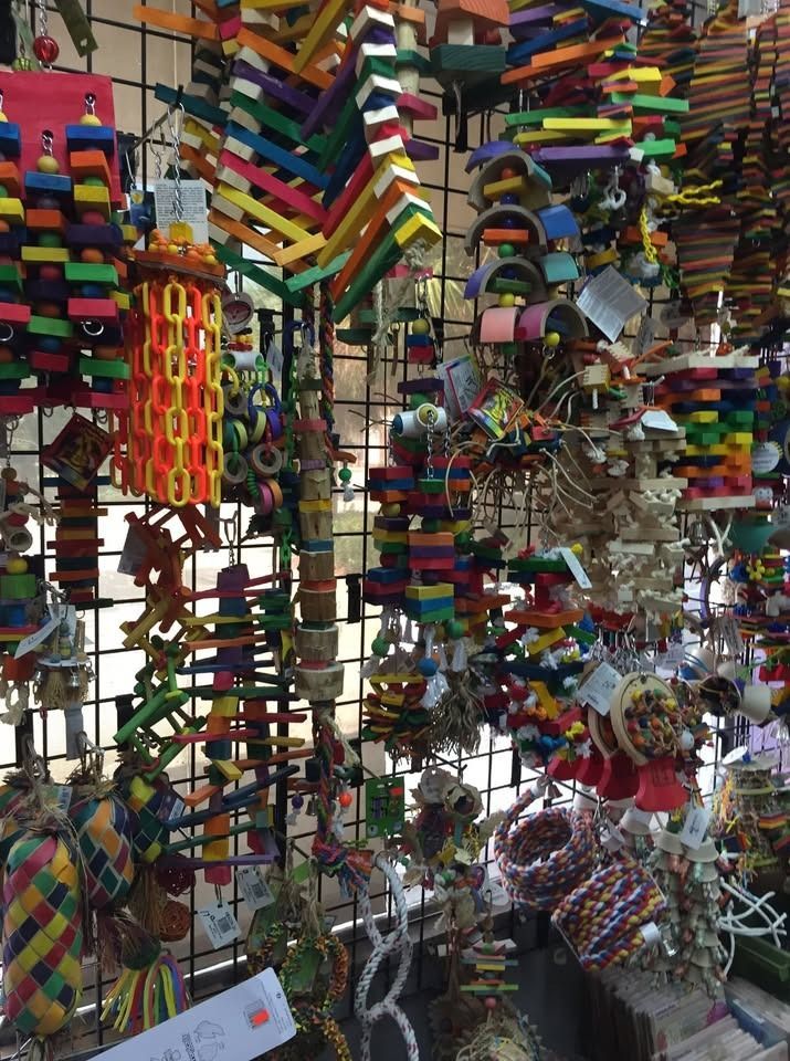 The inside of a pet store filled with lots of products.