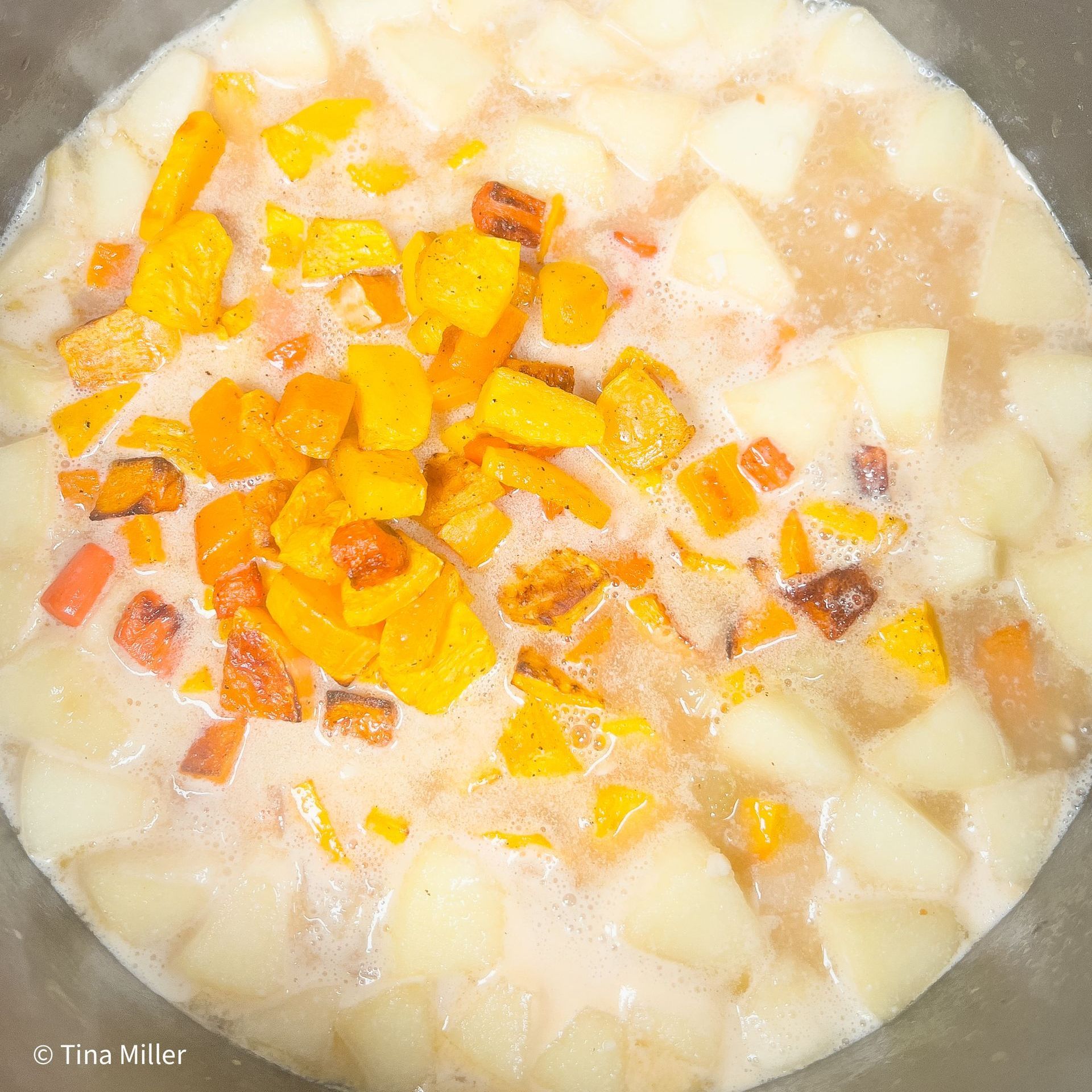 Apples and roasted squash and carrots in Dutch oven simmering in vegetable broth and coconut milk.