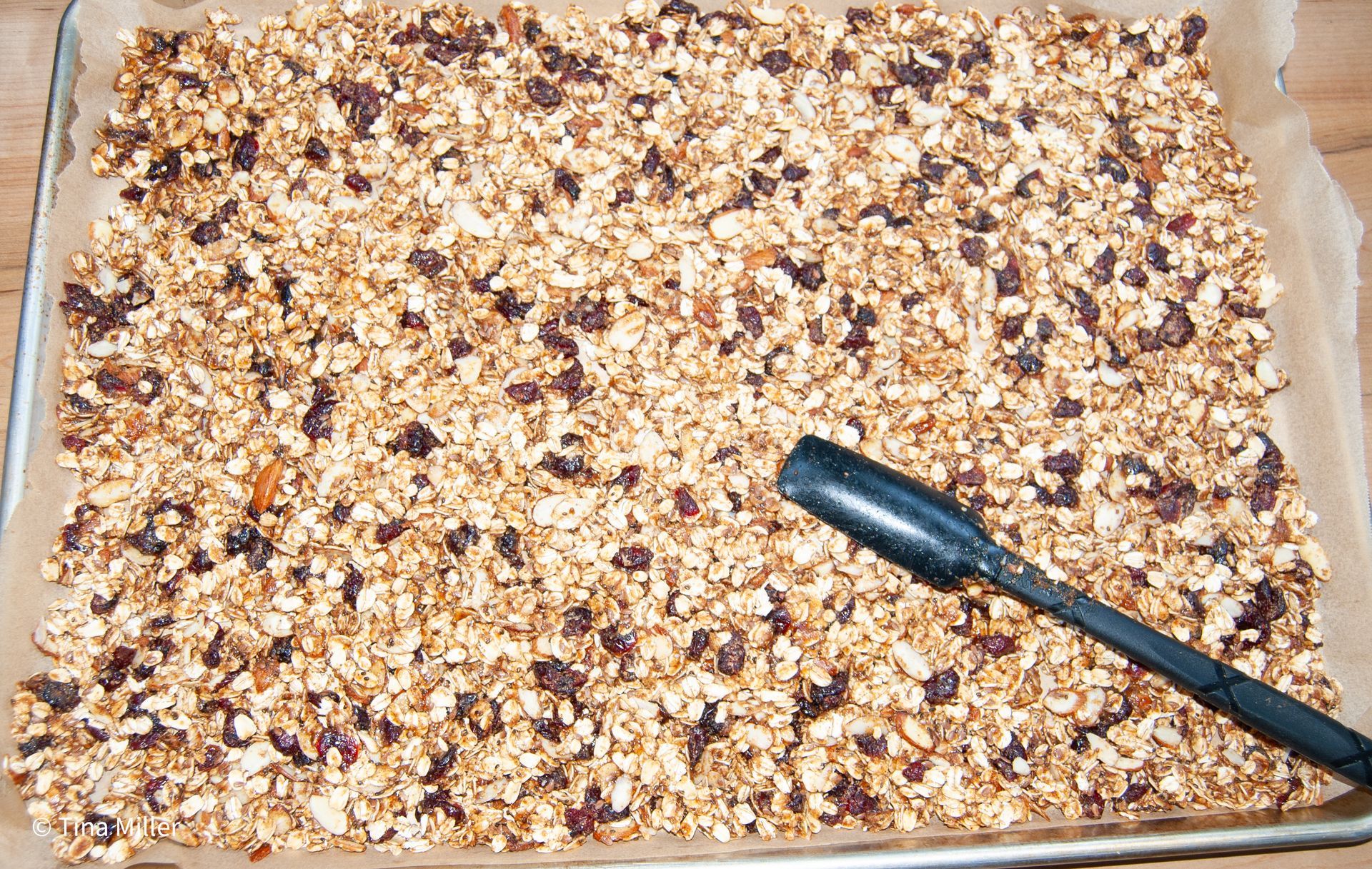 homemade granola with dried cranberries spread in a thin layer on a sheet pan to be cooked in the oven. 