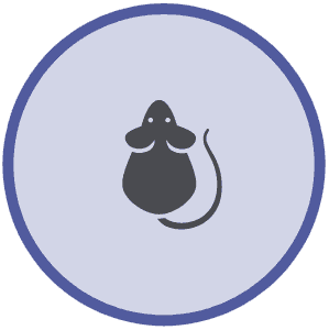 icon of rat