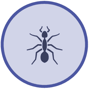 icon of ant