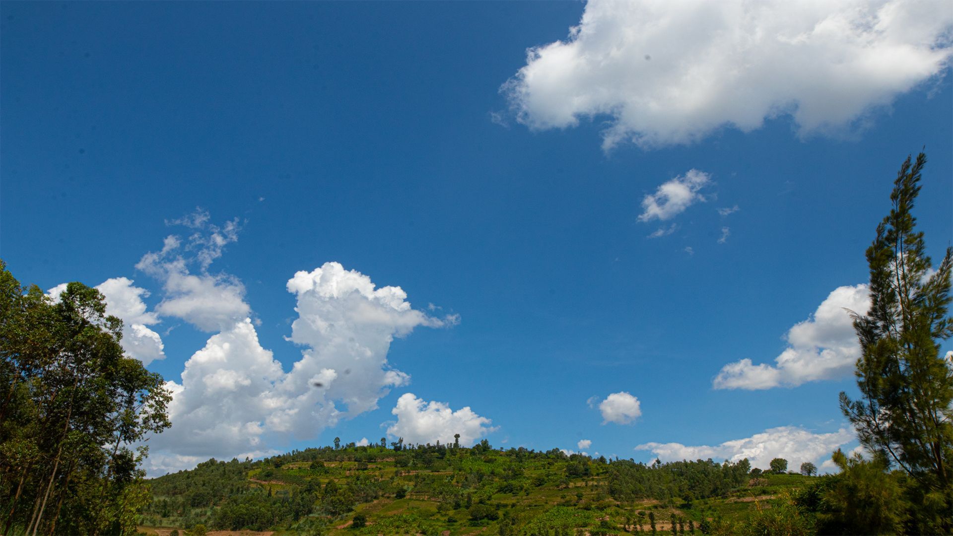 Cyibangu Coffee Washing Station