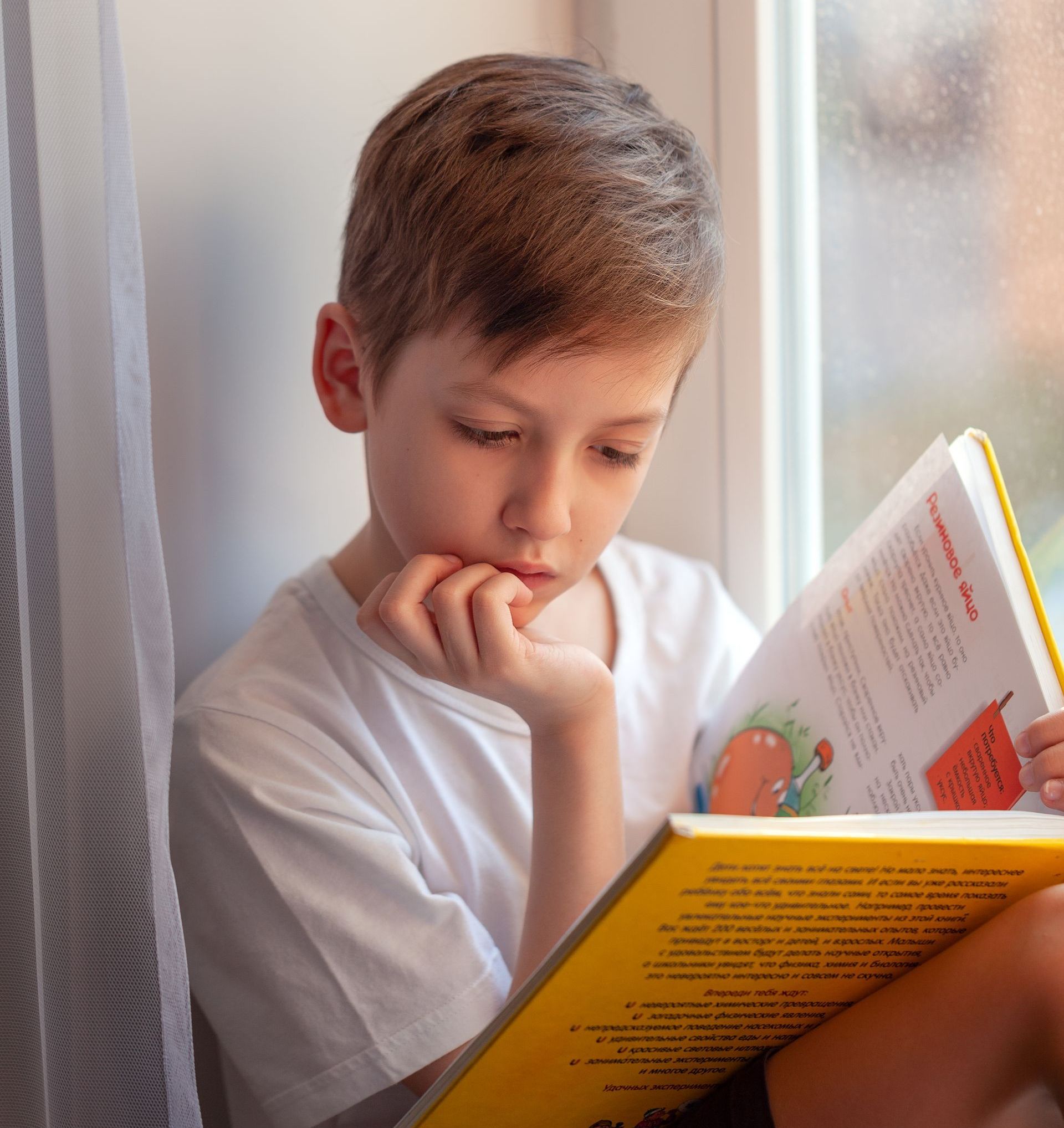 A young boy is reading a book by a window