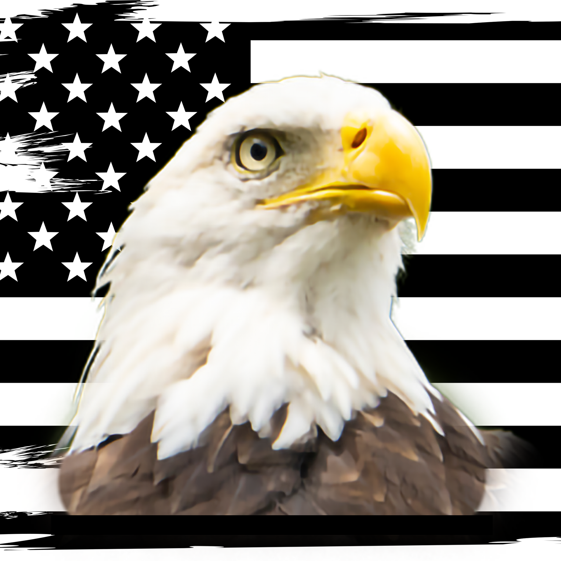 A bald eagle is sitting in front of an american flag.