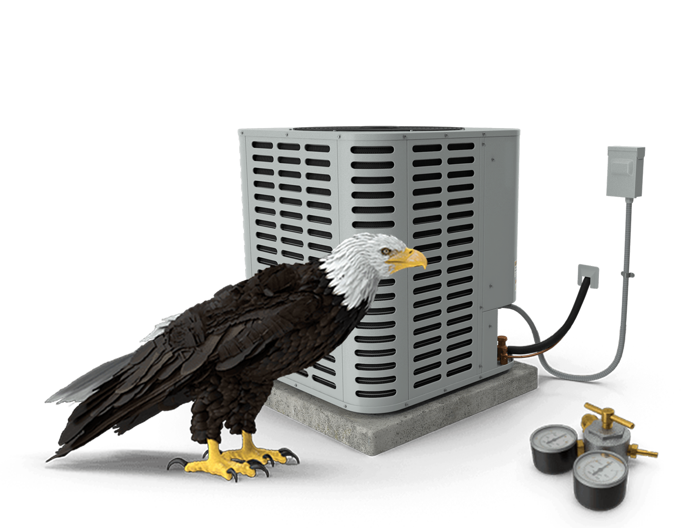 Eagle in front of air conditioner