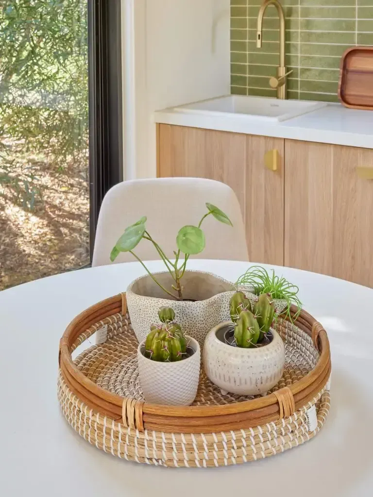 A round tray with cacti and a plant on a white table in a bright room, near a window and kitchen.