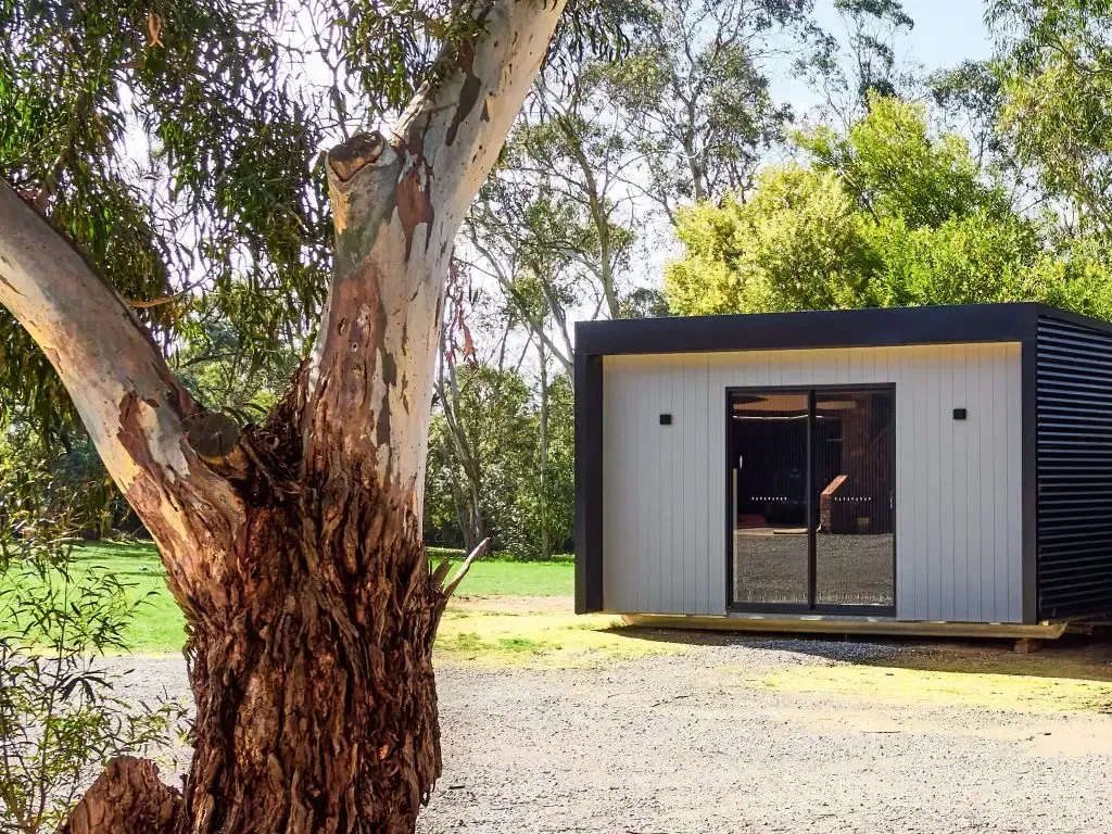 Small modern cabin with glass doors, next to a large tree.