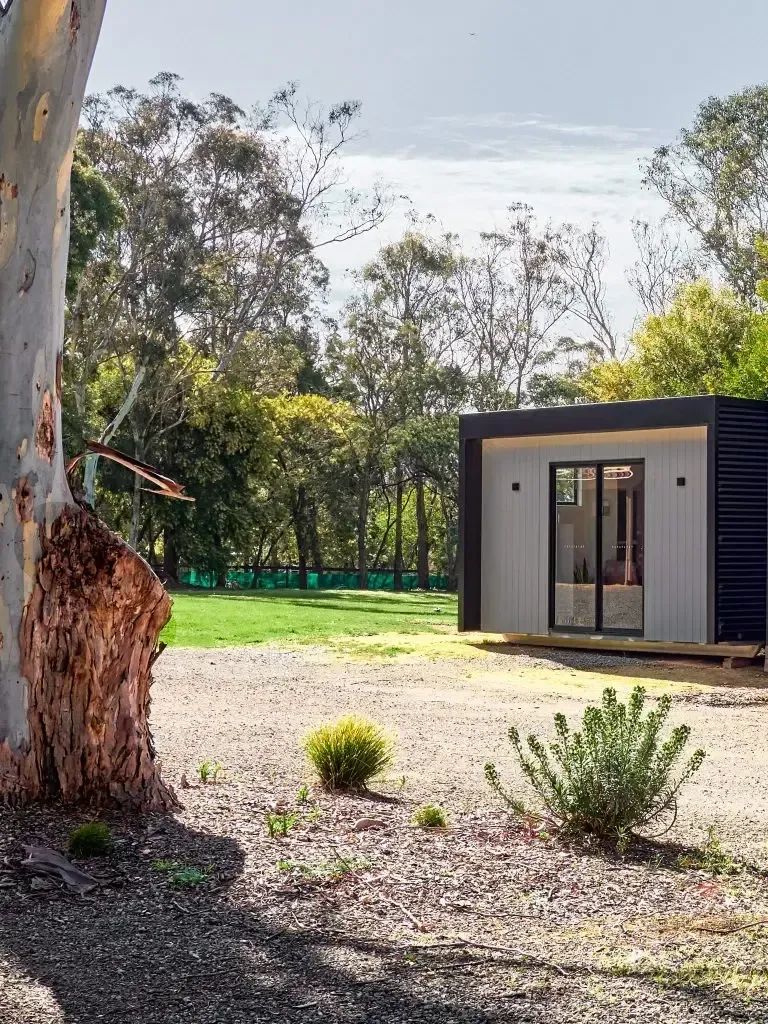 Cabin in a grassy yard with trees in the background, sunlight, and a close up on a tree trunk.