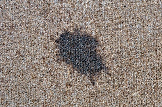 Oil or grease stain on carpet