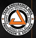 Logo of Team Endurance MMA/ Brazilian JiuJitsu & Kickboxing Academy - Gym Company in Delaware