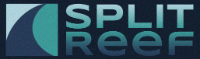 Logo of Cynexis Media - Digital Marketing Company in Ohio