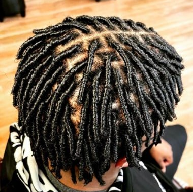 Photo of a start up locs hairstyle