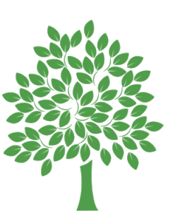 Illustrazione di un albero verde.