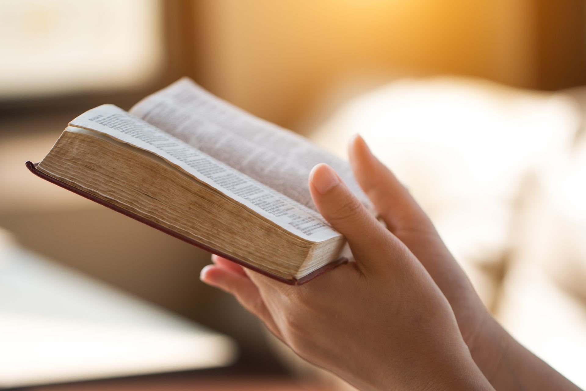 Hands holding an open book, reading. Sunlight illuminates the pages.