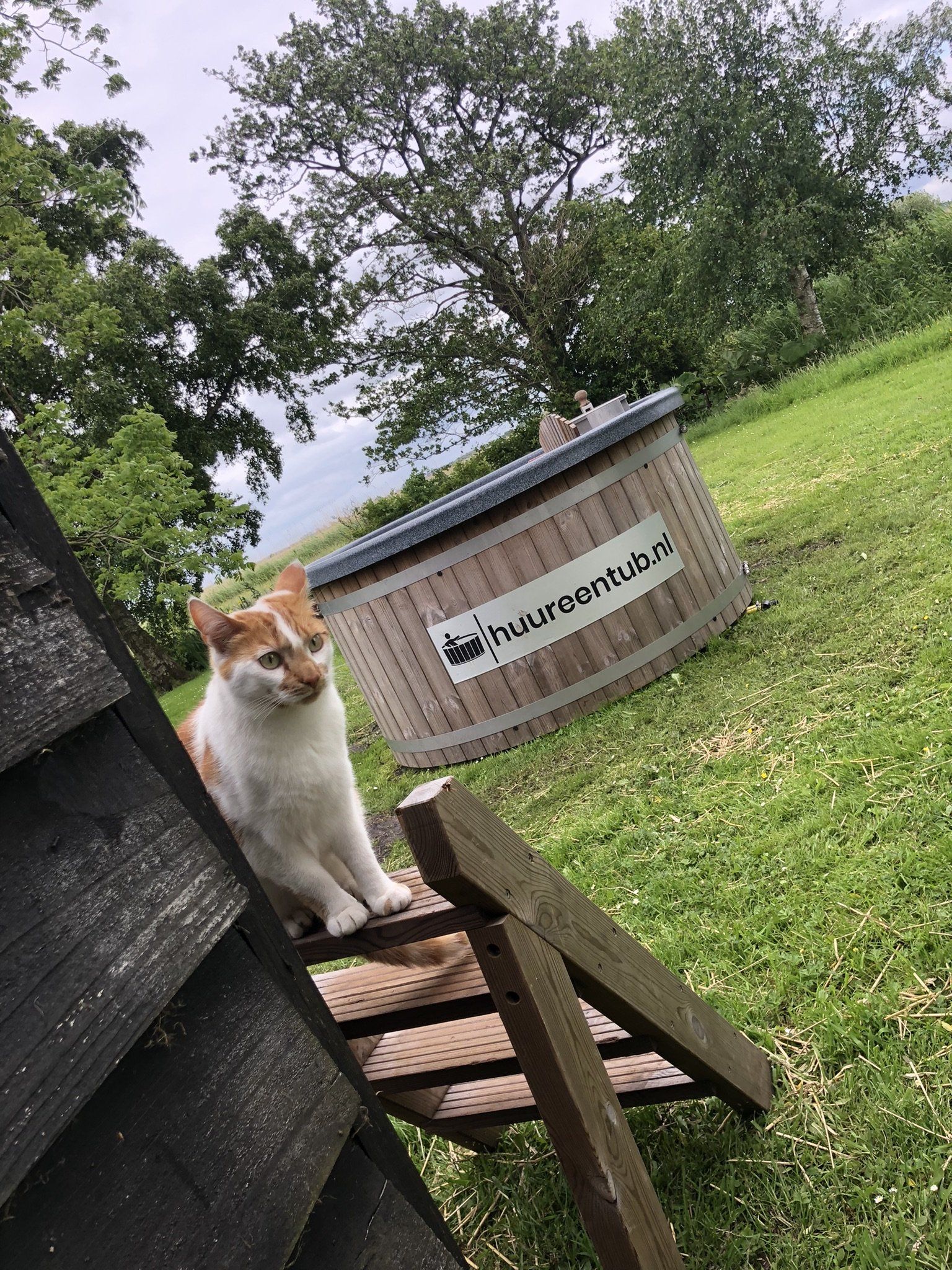 Een kat zit op een houten trap naast een houten hot tub. 