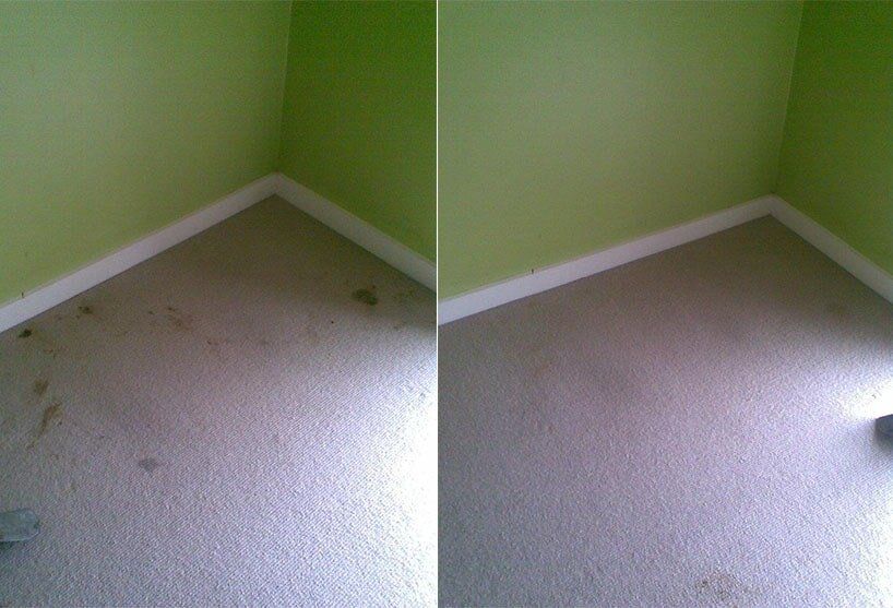 before and after(green wall) — carpet cleaning in Alice Springs, NT