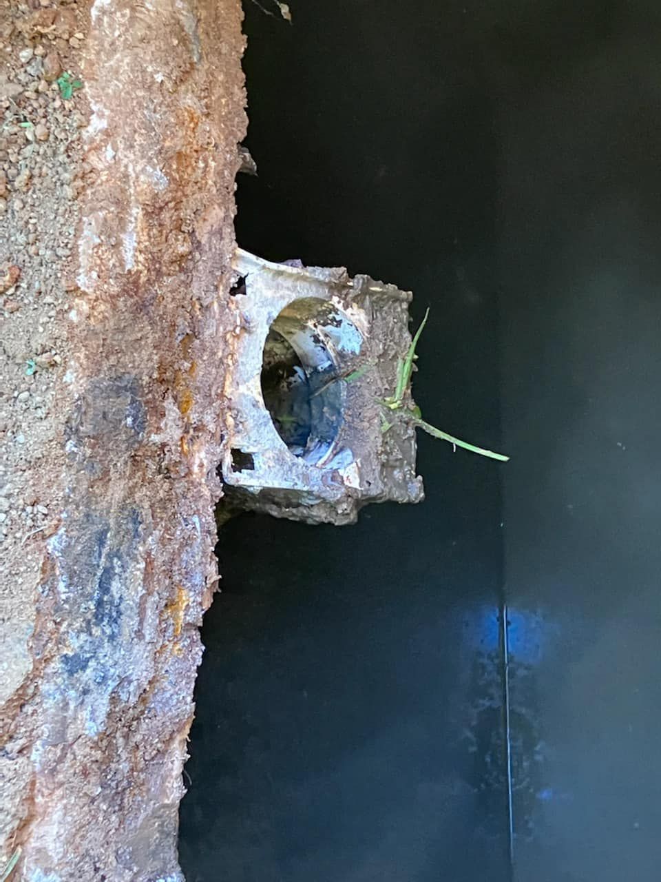 A spider is crawling out of a hole in a wall.