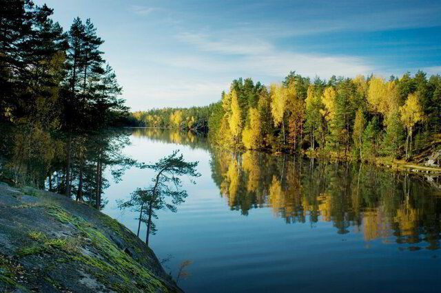 Calm lake reflecting autumn trees under a blue sky, with a rocky shore and pine forest at left