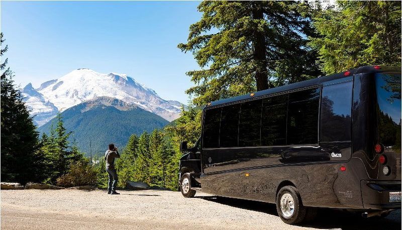 A person stands on a gravel path, looking at a snow-capped mountain, with a black shuttle bus parked in the foreground.