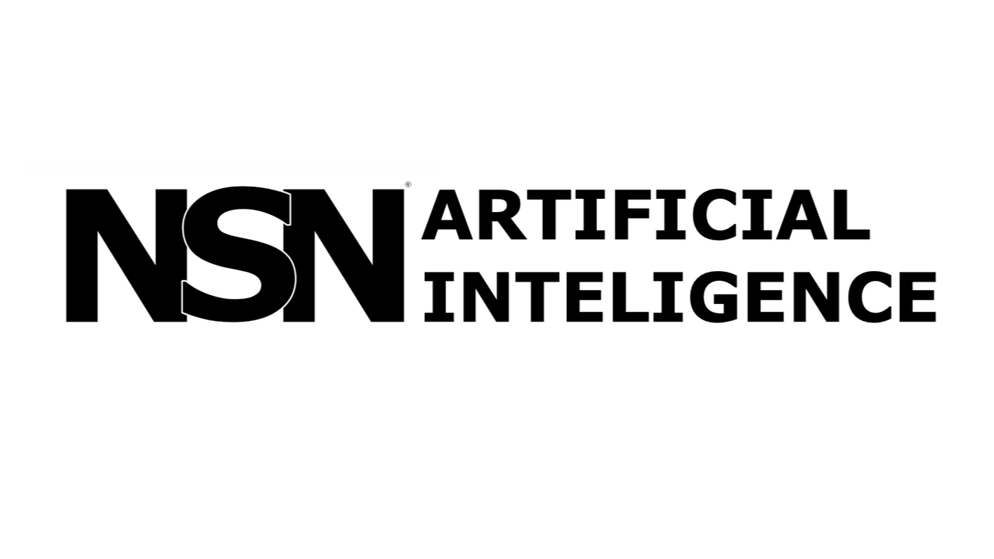 NSN Artificial Intelligence 