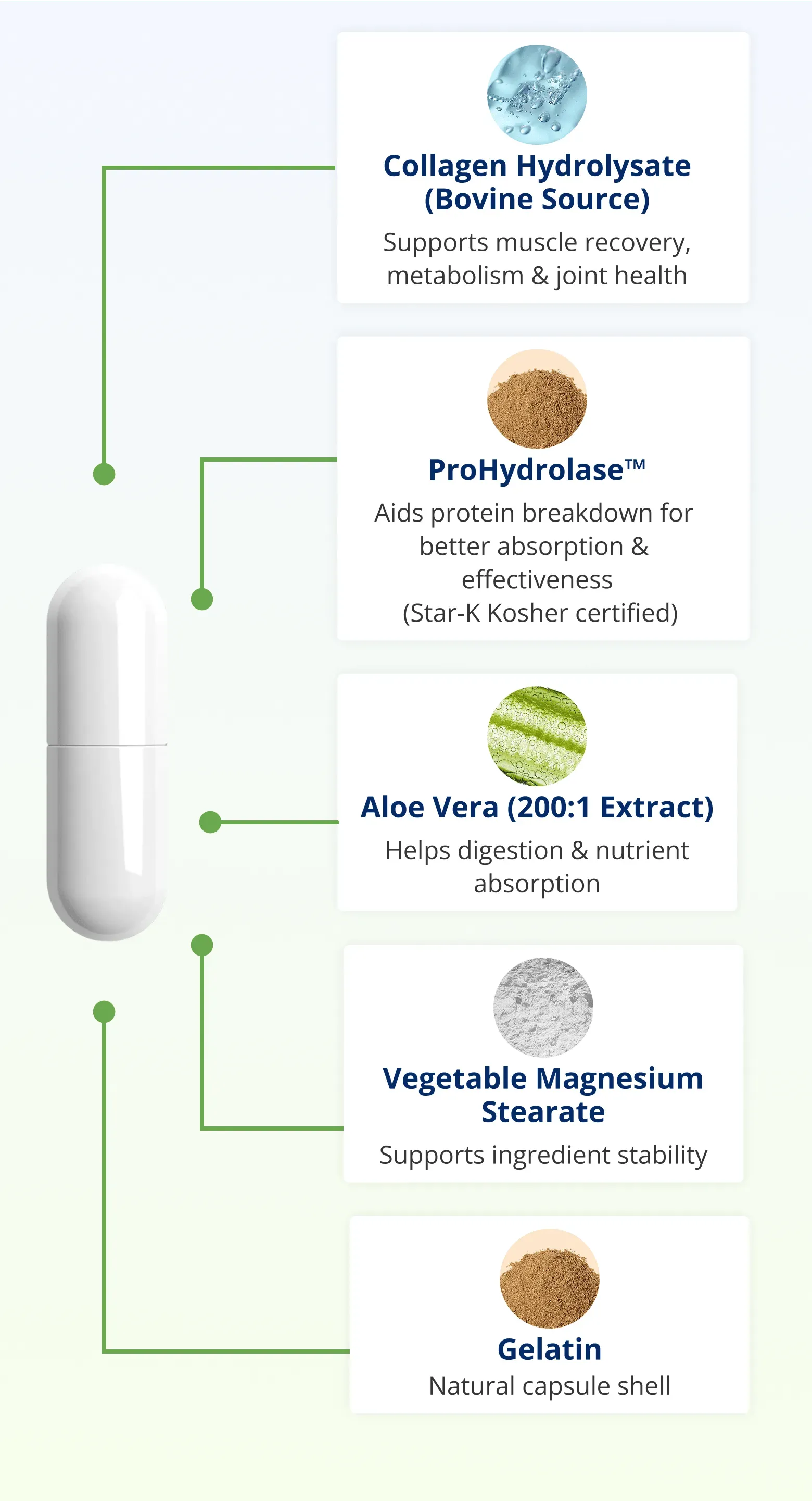 White capsule with ingredient labels: Collagen, ProHydrolase, Aloe Vera, Vegetable Magnesium Stearate, and Gelatin.