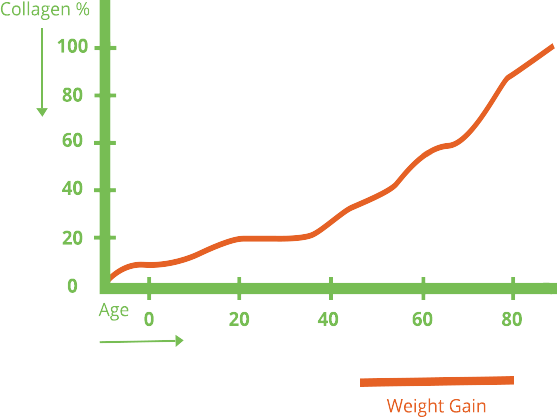 Graph showing collagen percentage increasing with age, labeled 