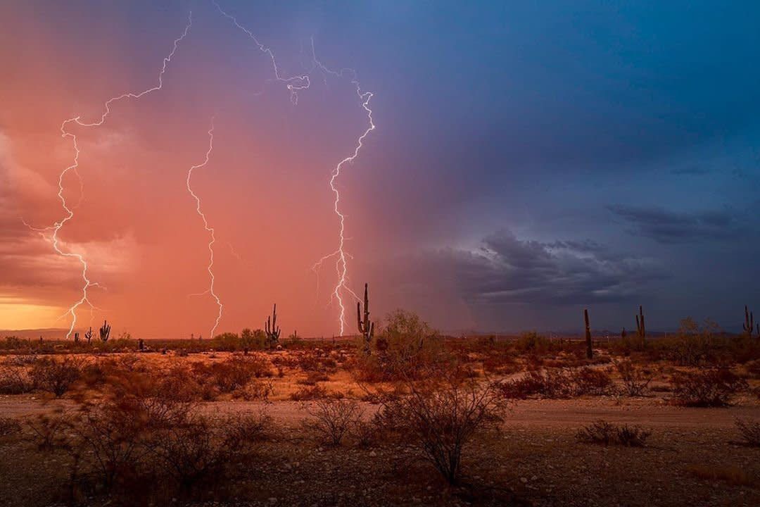 Phoenix Monsoon