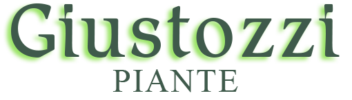 logo Giustozzi Piante