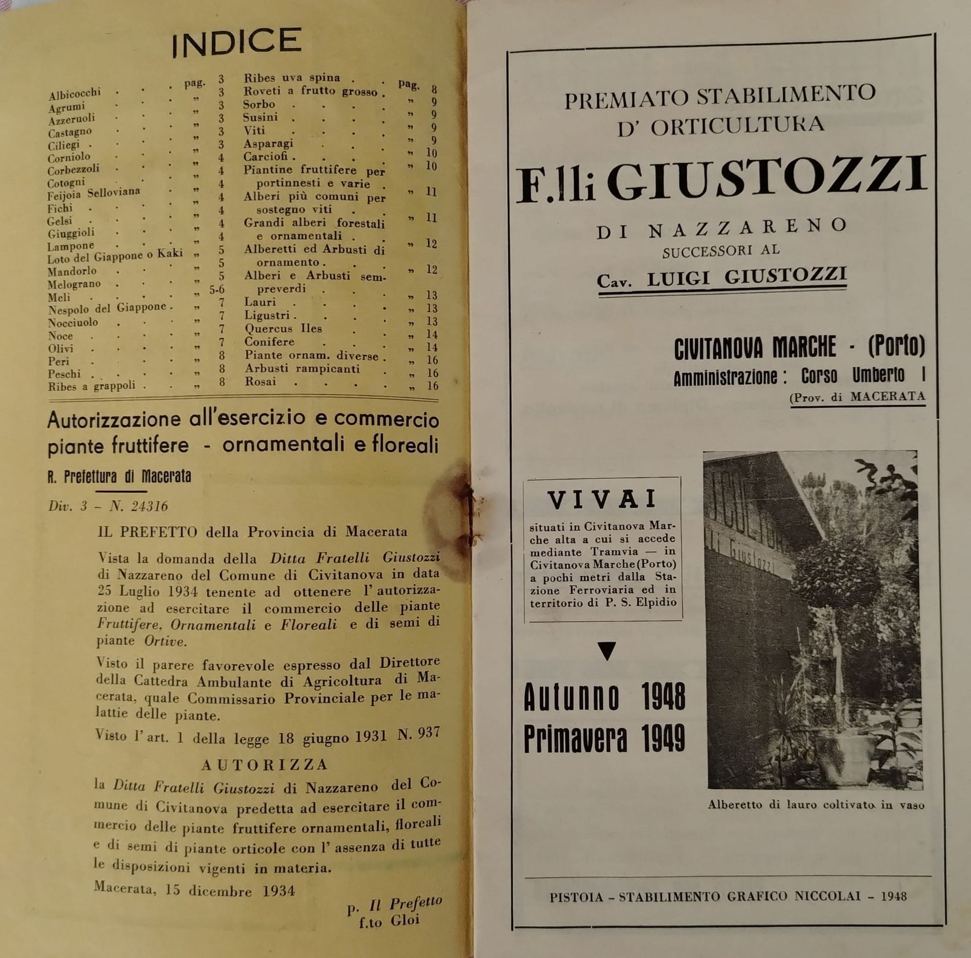 immagine storica Giustozzi