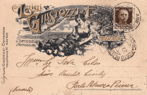 documento storico Giustoppi Piante