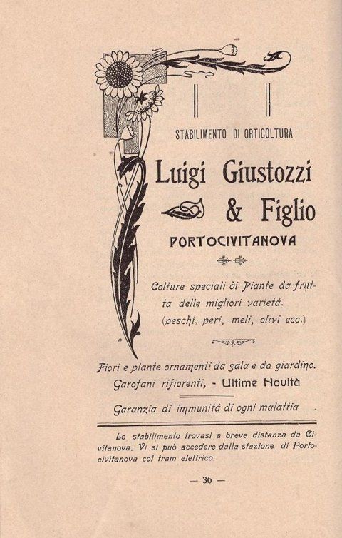 documento storico Giustoppi Piante