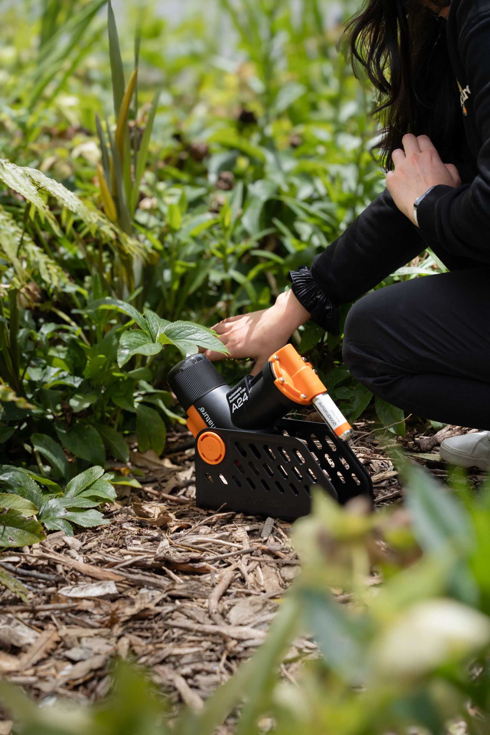 Goodnature rat and mouse traps