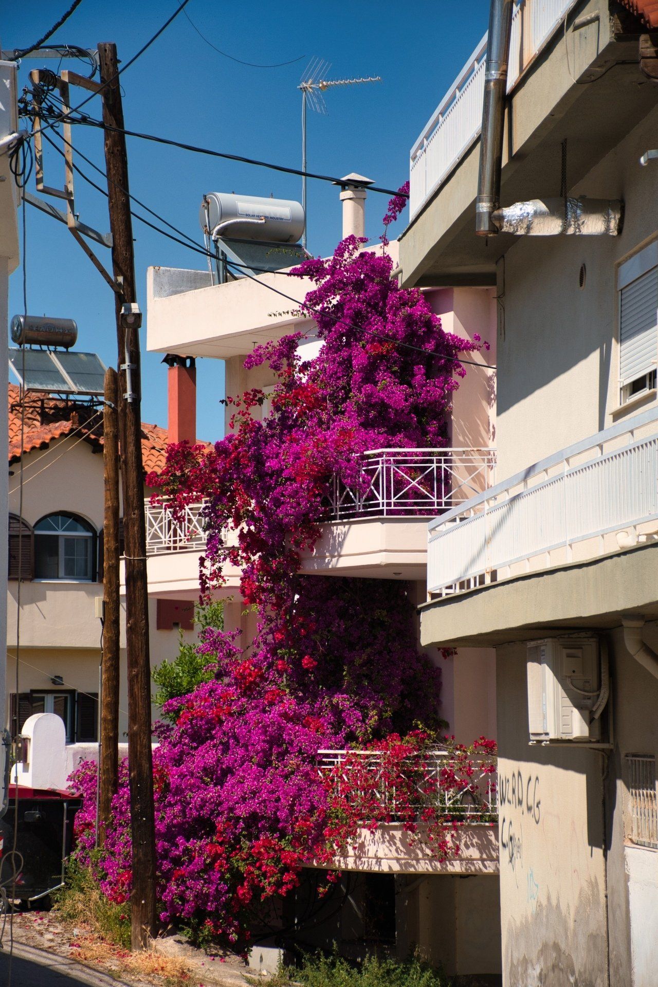 Blumenmeer an Hausfassade in Chalkida, Bunte Welt in Griechenland