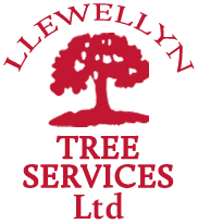 Llewellyn Tree services Ltd logo