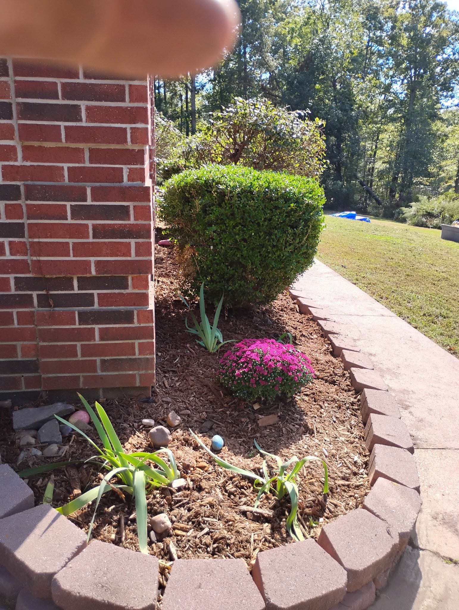 Brick building corner with landscaped garden