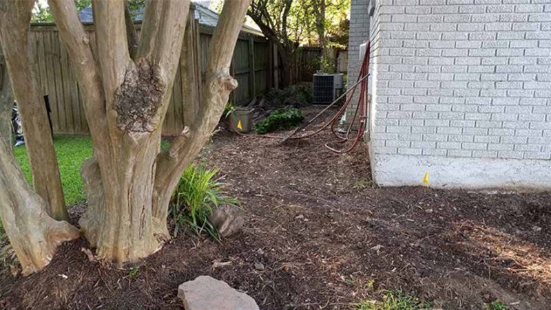 Bare tree trunk next to a white brick wall and mulched garden bed