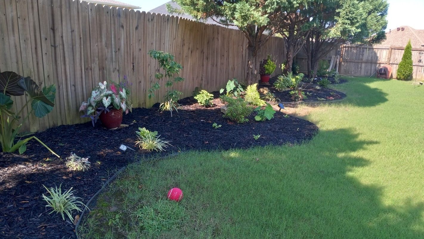 Lush garden bed with dark mulch and plants next to a wooden fence, with green grass in a backyard