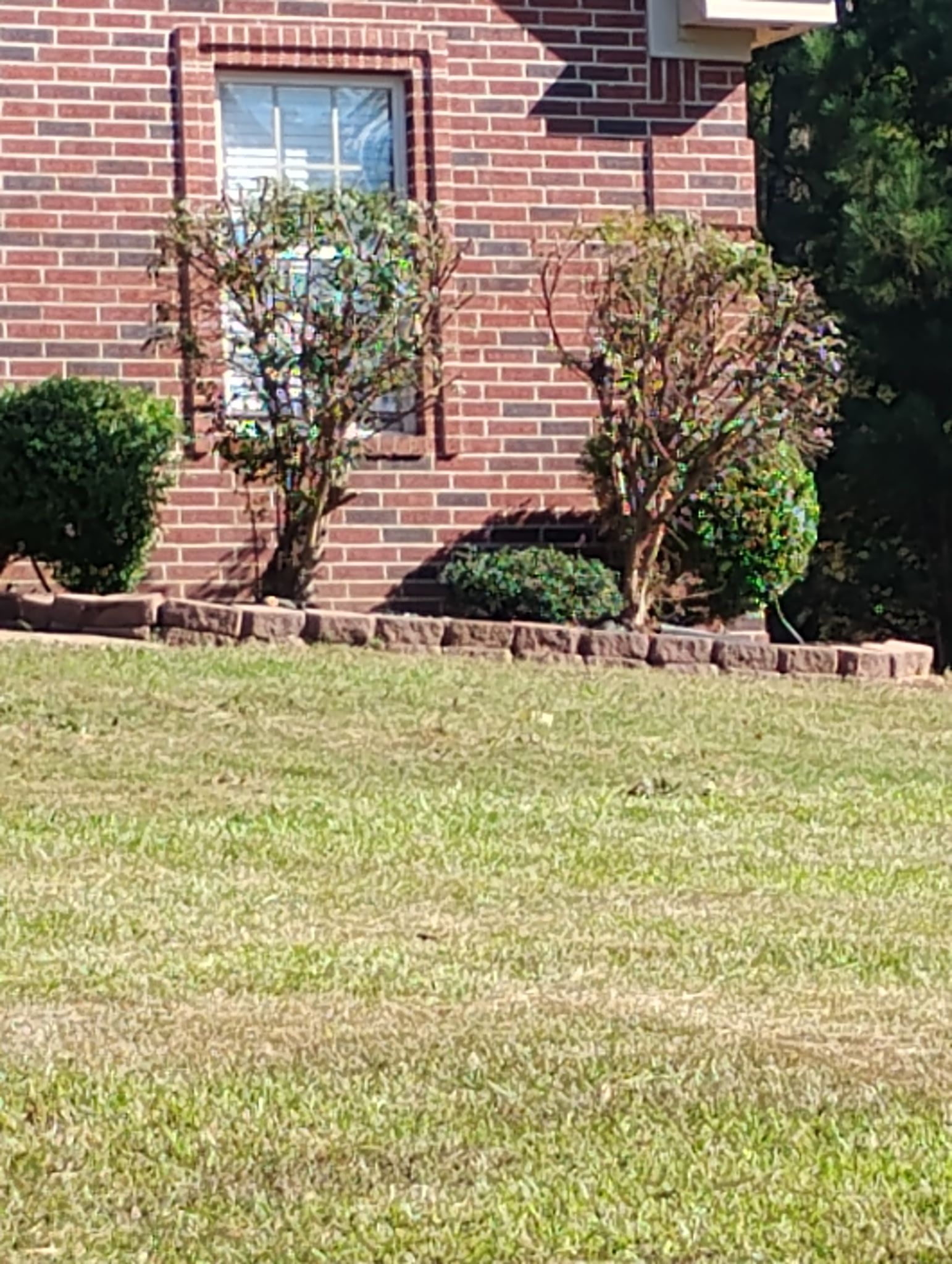 Brick house exterior with lawn and flower bed