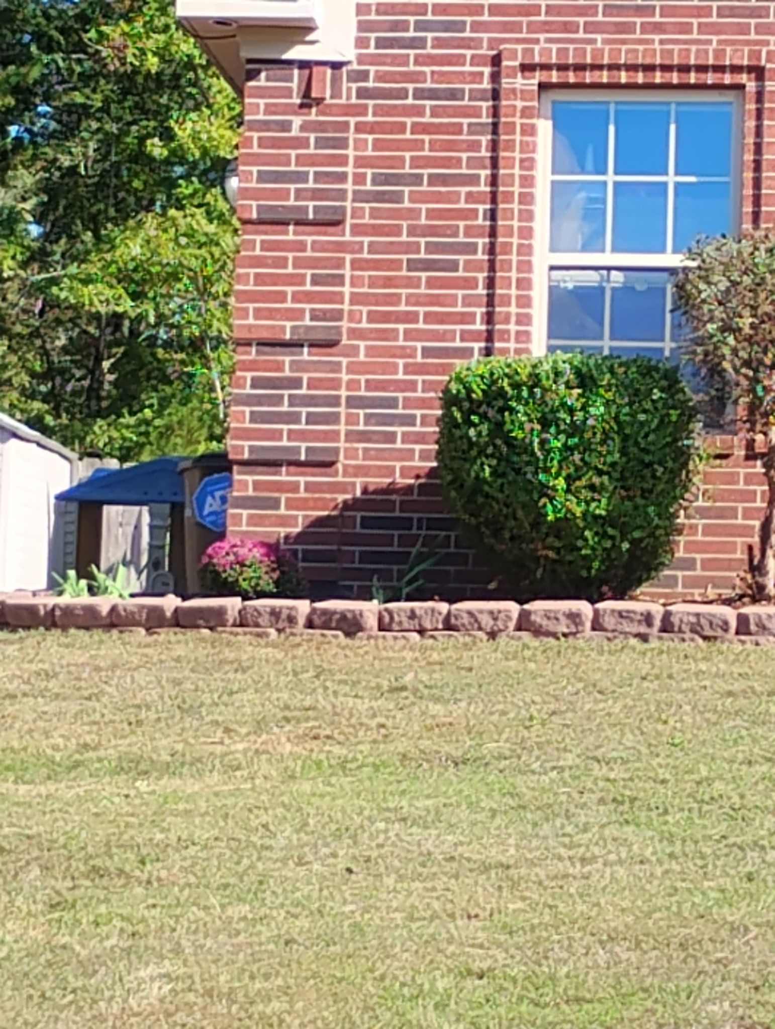 Brick building facade with a window, bush, and neatly trimmed grass
