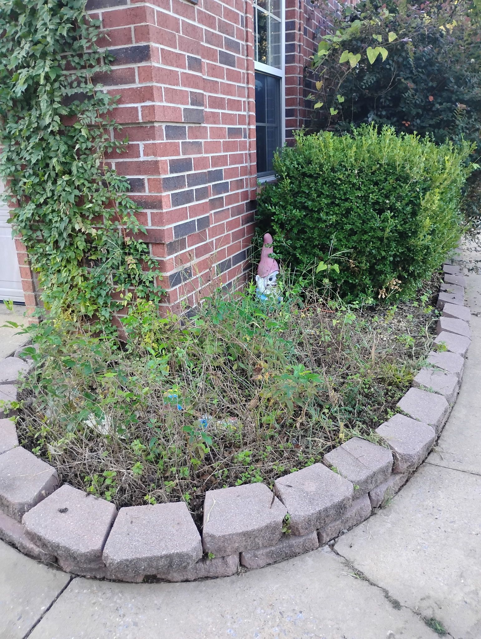 A brick building corner with a curved stone-edged flower bed